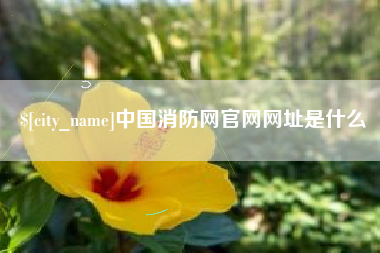 临清中国消防网官网网址是什么