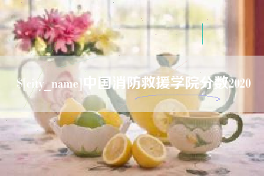 临清中国消防救援学院分数2020