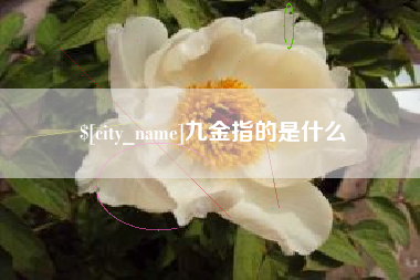 临清九金指的是什么