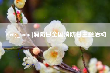 临清消防日全国消防日主题活动
