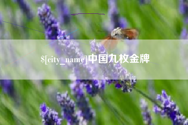 临清中国九枚金牌