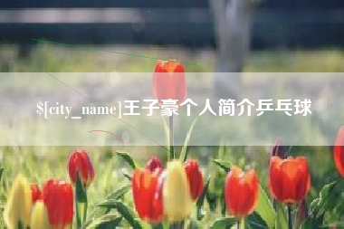 临清王子豪个人简介乒乓球