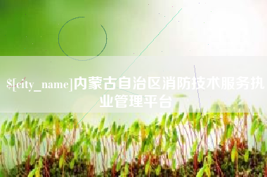 临清内蒙古自治区消防技术服务执业管理平台
