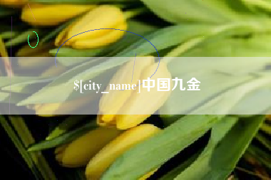 临清中国九金