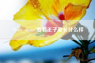 临清看看王子豪长什么样