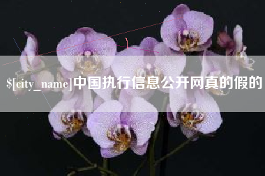 临清中国执行信息公开网真的假的