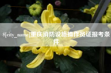 临清重庆消防设施操作员证报考条件