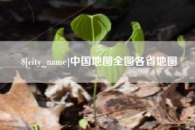 临清中国地图全图各省地图