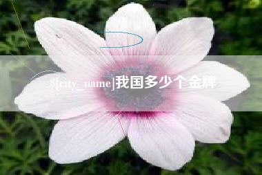 临清我国多少个金牌