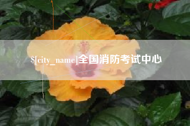 临清全国消防考试中心