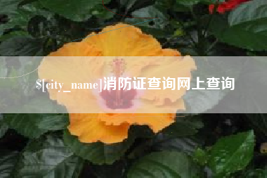 临清消防证查询网上查询