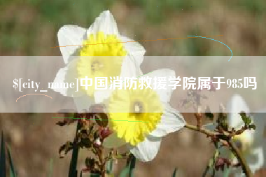 临清中国消防救援学院属于985吗