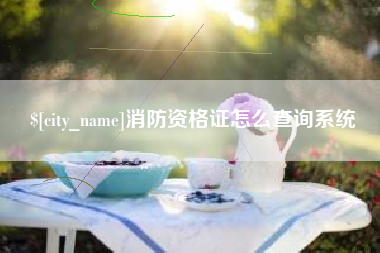 临清消防资格证怎么查询系统