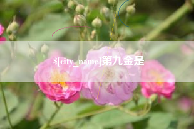 临清第九金是