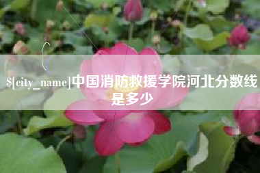 临清中国消防救援学院河北分数线是多少