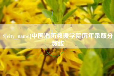 临清中国消防救援学院历年录取分数线