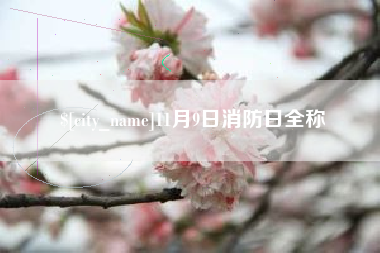 临清11月9日消防日全称