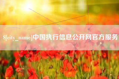 临清中国执行信息公开网官方服务