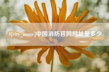 临清中国消防官网网址是多少