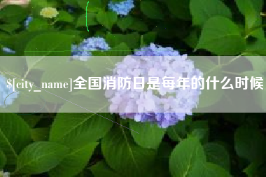 临清全国消防日是每年的什么时候