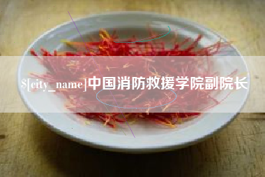 临清中国消防救援学院副院长