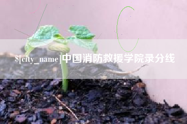 临清中国消防救援学院录分线