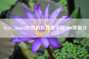 临清中国消防救援学院2020录取分