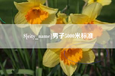 临清男子5000米标准