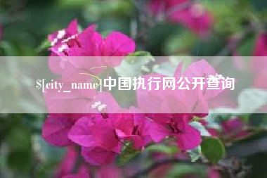 临清中国执行网公开查询