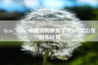 临清中国消防救援学院2021年山东招生计划