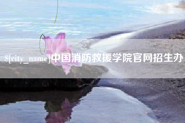 临清中国消防救援学院官网招生办