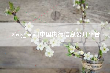 临清中国执行信息公开平台