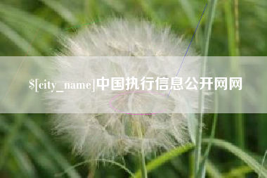 临清中国执行信息公开网网