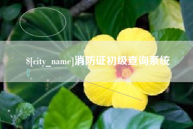 临清消防证初级查询系统