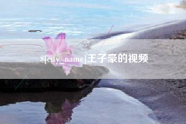 临清王子豪的视频