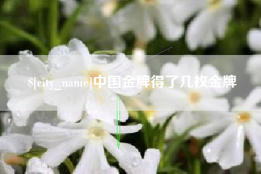 临清中国金牌得了几枚金牌