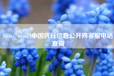 临清中国执行信息公开网客服电话查询