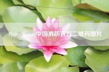 临清中国消防官方二维码图片