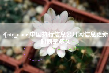 临清中国执行信息公开网信息更新时间是多久