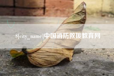 临清中国消防救援教育网