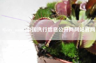 临清中国执行信息公开网网站官网