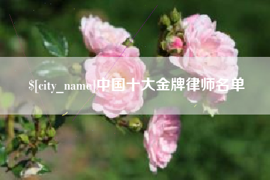 临清中国十大金牌律师名单