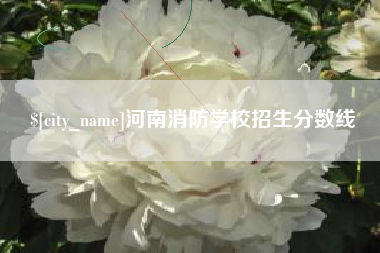 临清河南消防学校招生分数线