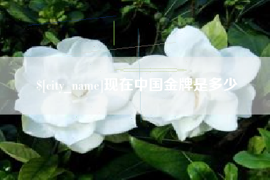 临清现在中国金牌是多少