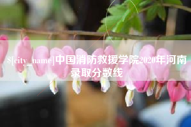 临清中国消防救援学院2020年河南录取分数线