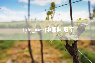 临清中国队 冠军