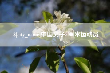 临清中国男子5000米运动员