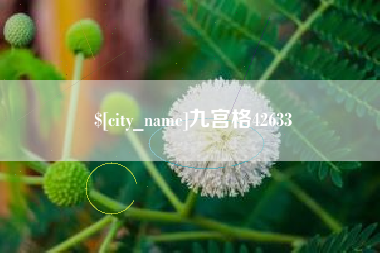 临清九宫格42633