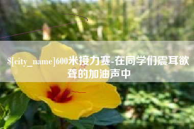 临清600米接力赛-在同学们震耳欲聋的加油声中