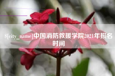 临清中国消防救援学院2021年报名时间